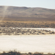 Image for article titled Inside California's Forgotten Grasslands